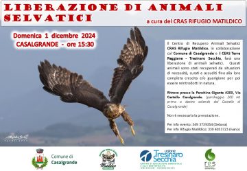 Leggi: «Liberazione di animali selvatici a Casalgrande»